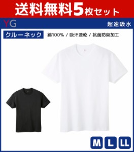 送料無料5枚セット YG ワイジー 超吸収コットン クルーネックTシャツ 半袖丸首 グンゼ GUNZE | 大きいサイズ 肌着 男性下着 アンダーウェ