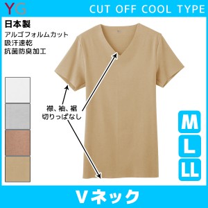 YG ワイジー クールタイプ CUT OFF カットオフ VネックTシャツ 半袖V首 グンゼ GUNZE 日本製 | メンズ インナーシャツ 下着 肌着 大きい