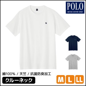 POLO ポロ クルーネックTシャツ 半袖 グンゼ GUNZE | メンズ 紳士 男性 インナー シャツ メンズインナー 肌着 下着 クルーネック 丸首 t