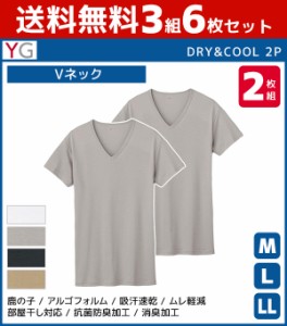 送料無料3組セット 計6枚 YG ワイジー DRY&COOL VネックTシャツ 半袖V首 2枚組 グンゼ GUNZE | メンズ 紳士 男性 肌着 紳士肌着 男性肌着