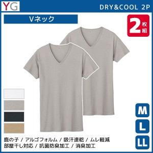 YG ワイジー DRY&COOL VネックTシャツ 半袖V首 2枚組 グンゼ GUNZE | メンズ 紳士 男性 肌着 紳士肌着 男性肌着 男性下着 インナー イン