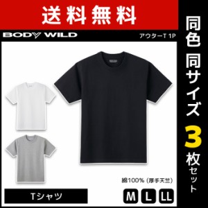 送料無料3枚セット BODYWILD ボディワイルド ヘビーウェイトTシャツ クルーネック グンゼ GUNZE ボディーワイルド BODY WILD 綿100％ | 