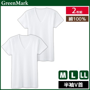 GreenMark 半袖V首 2枚組 Tシャツ 綿100% 肌着 グンゼ GUNZE | メンズ 男性 インナーシャツ vネック 半袖 半袖tシャツ 半袖インナー メン