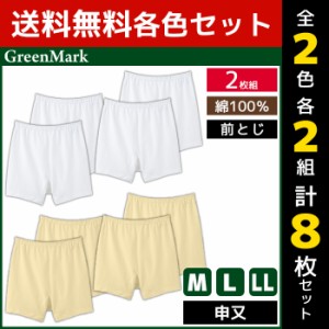 2色2組ずつ 送料無料4組セット 計8枚 GreenMark 申又 前とじ 2枚組 綿100% グンゼ GUNZE | メンズ 男性 下着 パンツ ブリーフ 男性下着 