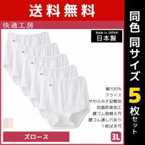 送料無料 同色5枚セット 快適工房 ズロース 3Lサイズ 大きいサイズ 綿100% 日本製 グンゼ GUNZE | 女性 レディース レディス 婦人 女性用