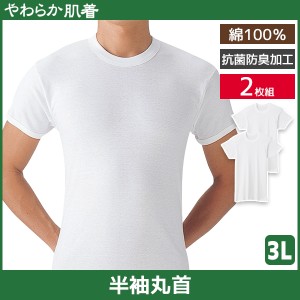 やわらか肌着 半袖丸首シャツ 2枚組 3Lサイズ クルーネック Tシャツ グンゼ GUNZE | メンズ 男性 紳士 インナーシャツ クルーネック 3l 