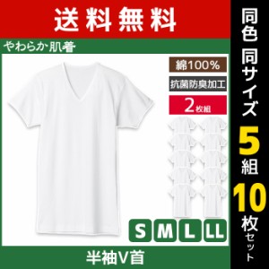 送料無料 同色5組セット 計10枚 やわらか肌着 半袖V首シャツ 2枚組 Vネック Tシャツ グンゼ GUNZE | メンズ 男性 紳士 インナーシャツ v