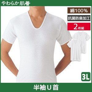 やわらか肌着 半袖U首シャツ 2枚組 3Lサイズ Uネック Tシャツ グンゼ GUNZE | メンズ 男性 紳士 インナーシャツ uネック 3l 半袖 半袖tシ