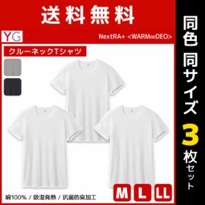 送料無料 同色3枚セット YG ワイジー WARMDRY クルーネックTシャツ 綿100% インナー グンゼ GUNZE | メンズ 男性 tシャツ クルーネック 