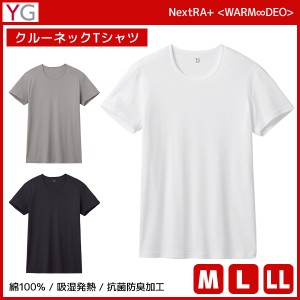 YG ワイジー WARMDRY クルーネックTシャツ 綿100% インナー グンゼ GUNZE | メンズ 男性 tシャツ クルーネック 丸首 半袖 半袖tシャツ 白