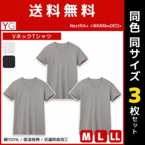 送料無料 同色3枚セット YG ワイジー WARMDRY VネックTシャツ 綿100% インナー グンゼ GUNZE | メンズ 男性 tシャツ vネック v首 半袖 半