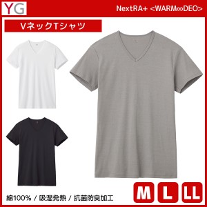 YG ワイジー WARMDRY VネックTシャツ 綿100% インナー グンゼ GUNZE | メンズ 男性 tシャツ vネック v首 半袖 半袖tシャツ 白T 肌着 白シ
