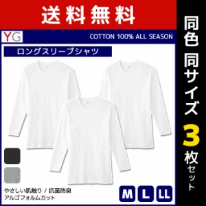 送料無料 同色3枚セット YG ワイジー COTTON100% ロングスリーブシャツ 長袖 グンゼ GUNZE | メンズ 男性 紳士 大きいサイズ 肌着 下着 