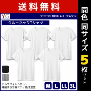 送料無料 同色5枚セット YG ワイジー COTTON100% クルーネックTシャツ 半袖丸首 グンゼ GUNZE | メンズ 男性 紳士 大きいサイズ 肌着 男