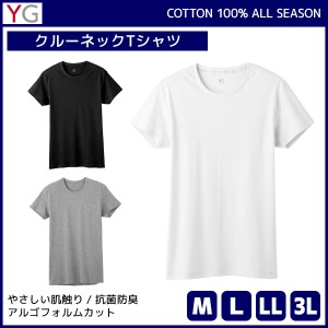 YG ワイジー COTTON100% クルーネックTシャツ 半袖丸首 グンゼ GUNZE | メンズ 男性 紳士 大きいサイズ 肌着 男性下着 メンズインナー ア