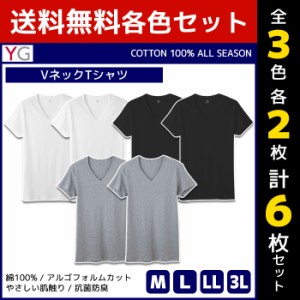 3色2枚ずつ 送料無料6枚セット YG ワイジー COTTON100% VネックTシャツ 半袖V首 グンゼ GUNZE| メンズ 男性 紳士 大きいサイズ 肌着 男性