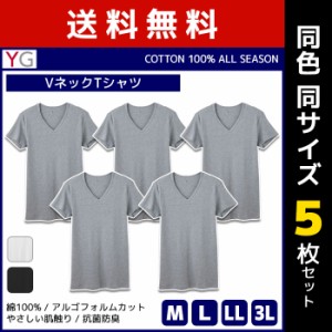 送料無料 同色5枚セット YG ワイジー COTTON100% VネックTシャツ 半袖V首 グンゼ GUNZE | メンズ 男性 紳士 大きいサイズ 肌着 男性下着 