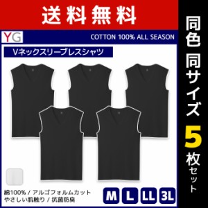 送料無料 同色5枚セット YG ワイジー COTTON100% Vネックスリーブレスシャツ ノースリーブ グンゼ GUNZE | メンズ 男性 紳士 肌着 下着 