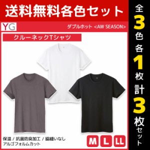 3色1枚ずつ 送料無料3枚セット YG ワイジー ダブルホット クルーネックTシャツ 半袖丸首 綿100% グンゼ GUNZE | メンズ 男性 tシャツ ク