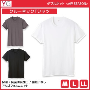 YG ワイジー ダブルホット クルーネックTシャツ 半袖丸首 綿100% グンゼ GUNZE | メンズ 男性 tシャツ クルーネック 丸首 半袖 半袖tシャ