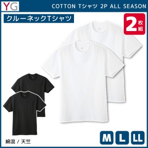 YG ワイジー クルーネックTシャツ 半袖丸首 2枚組 グンゼ GUNZE | メンズ 男性 肌着 男性肌着 インナー インナーシャツ クルーネック ク