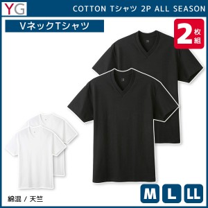 YG ワイジー VネックTシャツ 半袖V首 2枚組 グンゼ GUNZE | メンズ 男性 肌着 男性肌着 インナー インナーシャツ vネック vネックインナ