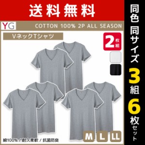 送料無料 同色3組セット 計6枚 YG ワイジー VネックTシャツ 半袖V首 2枚組 グンゼ GUNZE | メンズ 男性 肌着 男性肌着 インナー インナー