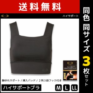 送料無料3枚セット RIZAP ライザップ ハイサポートブラ ブラジャー レディース グンゼ GUNZE | 女性 婦人 レディース レディス 姿勢ブラ