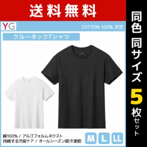 送料無料 同色5枚セット YG ワイジー クルーネックTシャツ 綿100% インナー グンゼ GUNZE | メンズ 男性 紳士 tシャツ クルーネック 丸首