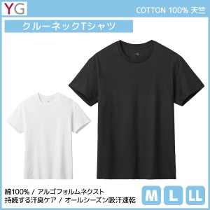 YG ワイジー クルーネックTシャツ 綿100% インナー グンゼ GUNZE| メンズ 男性 紳士 tシャツ クルーネック 丸首 半袖 半袖tシャツ 白T 白