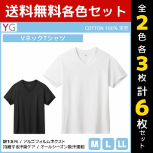 2色3枚ずつ 送料無料6枚セット YG ワイジー VネックTシャツ 綿100% インナー グンゼ GUNZE | メンズ 男性 紳士 tシャツ Vネック V首 半袖