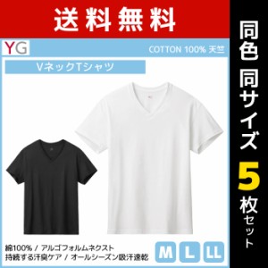 送料無料 同色5枚セット YG ワイジー VネックTシャツ 綿100% インナー グンゼ GUNZE | メンズ 男性 紳士 tシャツ Vネック V首 半袖 半袖t