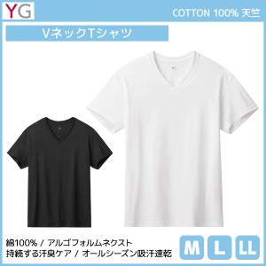 YG ワイジー VネックTシャツ 綿100% インナー グンゼ GUNZE | メンズ 男性 紳士 tシャツ Vネック V首 半袖 半袖tシャツ 白T 白tシャツ 白
