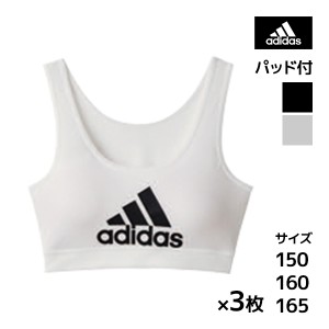 送料無料 同色3枚セット ジュニアレディース adidas アディダス ハーフトップ パッド入り グンゼ GUNZE | スポーツブラジャー 女の子 女