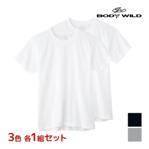 3色1組ずつ 送料無料3組セット 計6枚 BODYWILD ボディワイルド クルーネックTシャツ 半袖丸首 2枚組 グンゼ GUNZE | メンズ 男性 紳士 肌