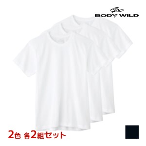 2色2組ずつ 送料無料4組セット 計12枚 BODYWILD ボディワイルド クルーネックTシャツ 半袖丸首 3枚組 グンゼ GUNZE | メンズ 男性 紳士 