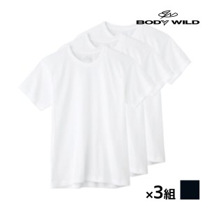 送料無料 同色3組セット 計9枚 BODYWILD ボディワイルド クルーネックTシャツ 半袖丸首 3枚組 グンゼ GUNZE | メンズ 男性 紳士 肌着 下