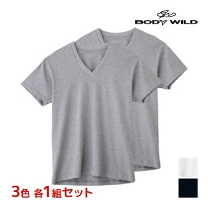 3色1組ずつ 送料無料3組セット 計6枚 BODYWILD ボディワイルド VネックTシャツ 半袖V首 2枚組 グンゼ GUNZE | メンズ 男性 肌着 下着 メ