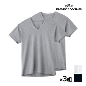 送料無料 同色3組セット 計6枚 BODYWILD ボディワイルド VネックTシャツ 半袖V首 2枚組 グンゼ GUNZE | メンズ 男性 紳士 肌着 下着 メン