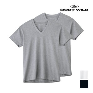 BODYWILD ボディワイルド VネックTシャツ 半袖V首 2枚組 グンゼ GUNZE | メンズ 男性 紳士 肌着 下着 メンズシャツ シャツ Tシャツ 半袖 