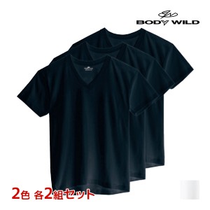 2色2組ずつ 送料無料4組セット 計12枚 BODYWILD ボディワイルド VネックTシャツ 半袖V首 3枚組 グンゼ GUNZE | メンズ 男性 肌着 下着 メ