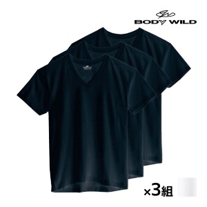 送料無料 同色3組セット 計9枚 BODYWILD ボディワイルド VネックTシャツ 半袖V首 3枚組 グンゼ GUNZE | メンズ 男性 紳士 肌着 下着 メン