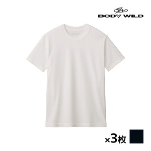 送料無料 同色3枚セット BODYWILD ボディワイルド 汗染み対応 クルーネックTシャツ 半袖丸首 グンゼ GUNZE | メンズ 男性 メンズシャツ 