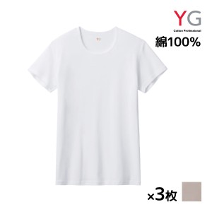 送料無料 同色3枚セット YG ワイジー NEXTRA+ DRYDEO クルーネックTシャツ フライス 綿100% インナー グンゼ GUNZE | メンズ 男性 紳士 t