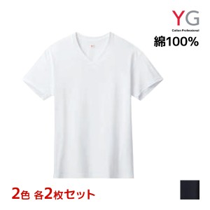 2色2枚ずつ 送料無料4枚セット YG ワイジー NEXTRA+ DRYDEO VネックTシャツ 天竺 綿100% インナー グンゼ GUNZE | メンズ 男性 tシャツ v