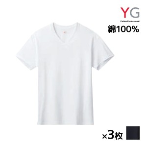 送料無料 同色3枚セット YG ワイジー NEXTRA+ DRYDEO VネックTシャツ 天竺 綿100% インナー グンゼ GUNZE | メンズ 男性 紳士 tシャツ v