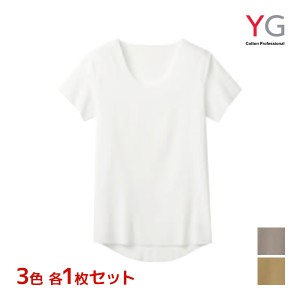 3色1枚ずつ 送料無料3枚セット YG ワイジー NEXTRA+ CUT OFF クルーネックTシャツ インナー グンゼ GUNZE | メンズ 男性 クルーネック 丸