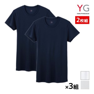 送料無料 同色3組セット 計6枚 YG ワイジー DRY&DEO クルーネックTシャツ 半袖丸首 2枚組 グンゼ GUNZE | メンズ 男性 紳士 肌着 下着 メ