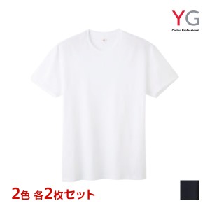 2色2枚ずつ 送料無料4枚セット YG ワイジー コットン 超速吸水 クルーネックTシャツ 天竺 綿100% インナー グンゼ GUNZE | メンズ 男性 