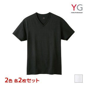 2色2枚ずつ 送料無料4枚セット YG ワイジー コットン 超速吸水 VネックTシャツ 天竺 綿100% インナー グンゼ GUNZE | メンズ 男性 tシャ